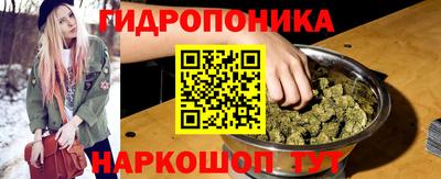 крисы Анжеро-Судженск
