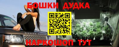 крисы Анжеро-Судженск